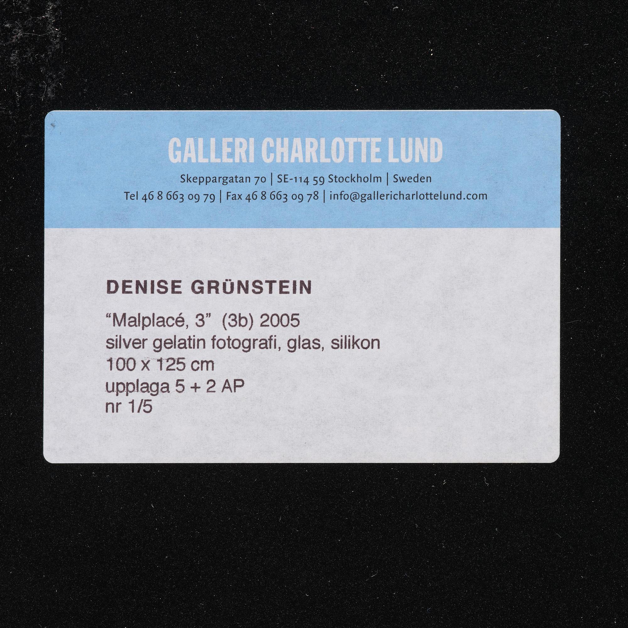 Denise Grünstein, "Malplacé 3B", 2005.