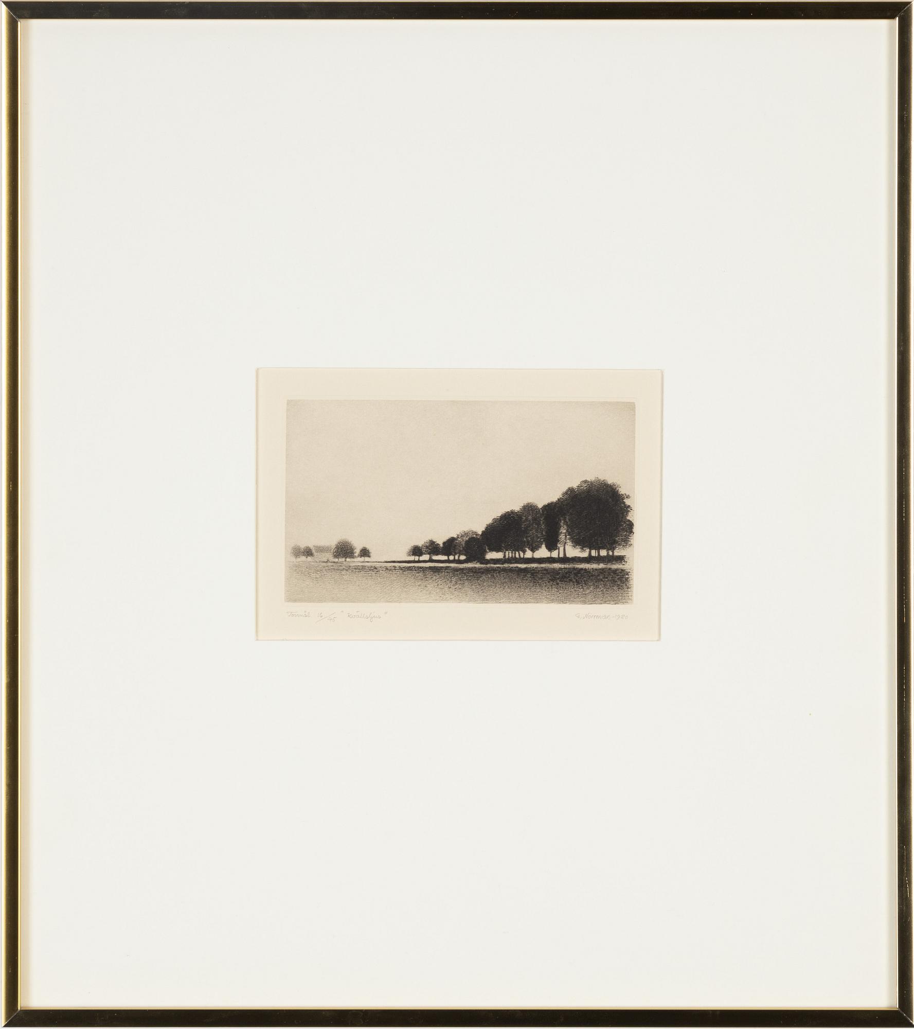 Gunnar Norrman, torrnål, signerad, daterad 1980 och numrerad 16/45.