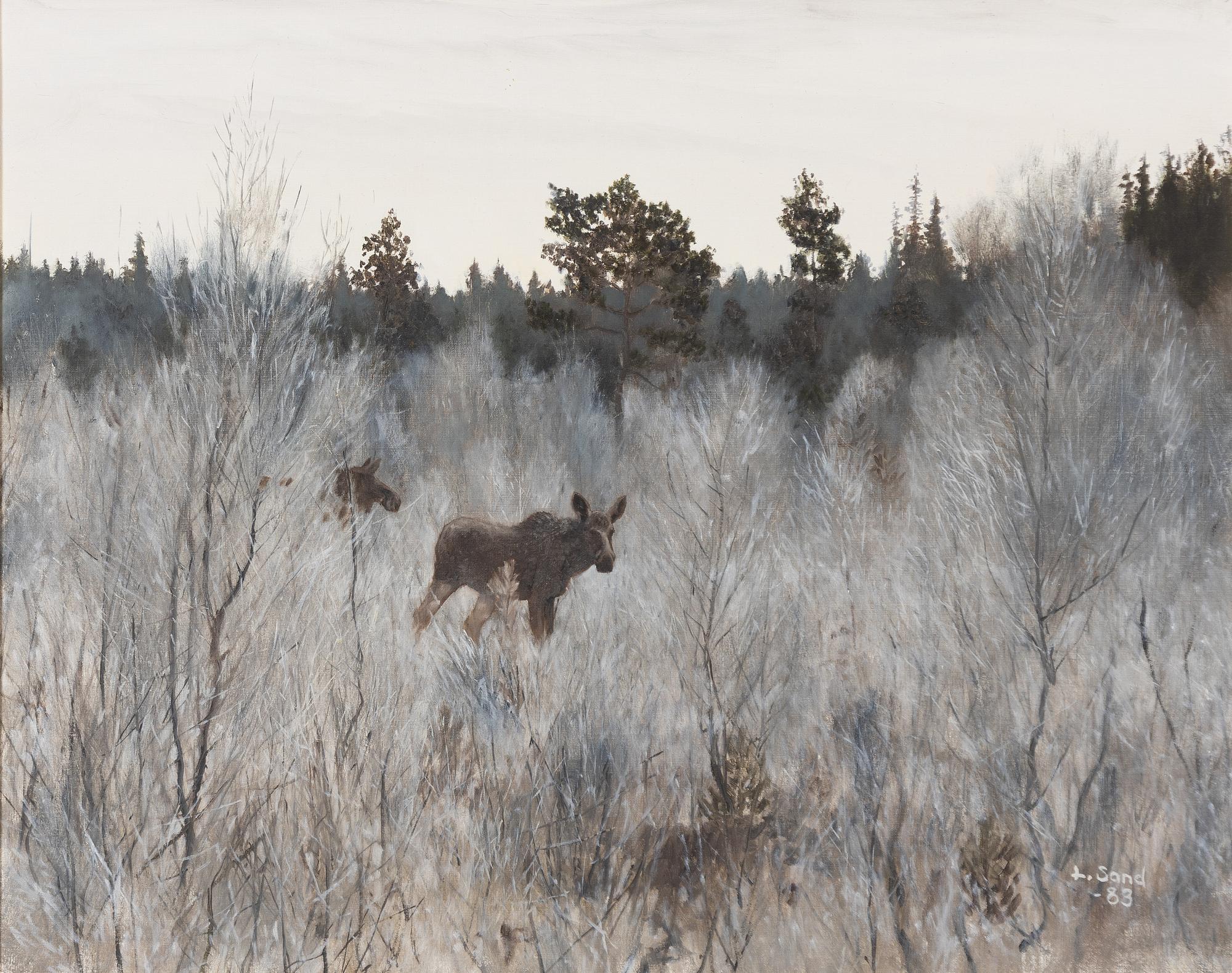 Lennart Sand, Twilight landscape with moose.