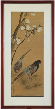 Unidentified artist, 'Pheasant pair', China, late Qing dynasty/circa 1900.