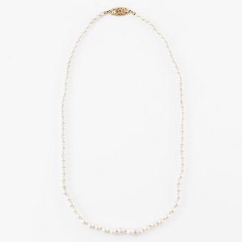 Pärlcollier, doserat med odlade pärlor, med lås i 18K guld.