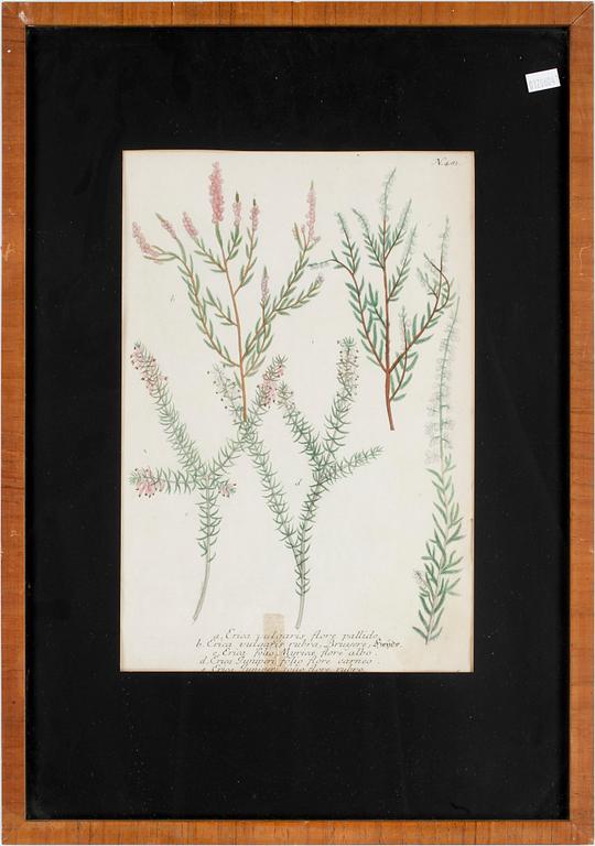 GRAVYRER, 6 st, handkolorerade, 1800-tal.