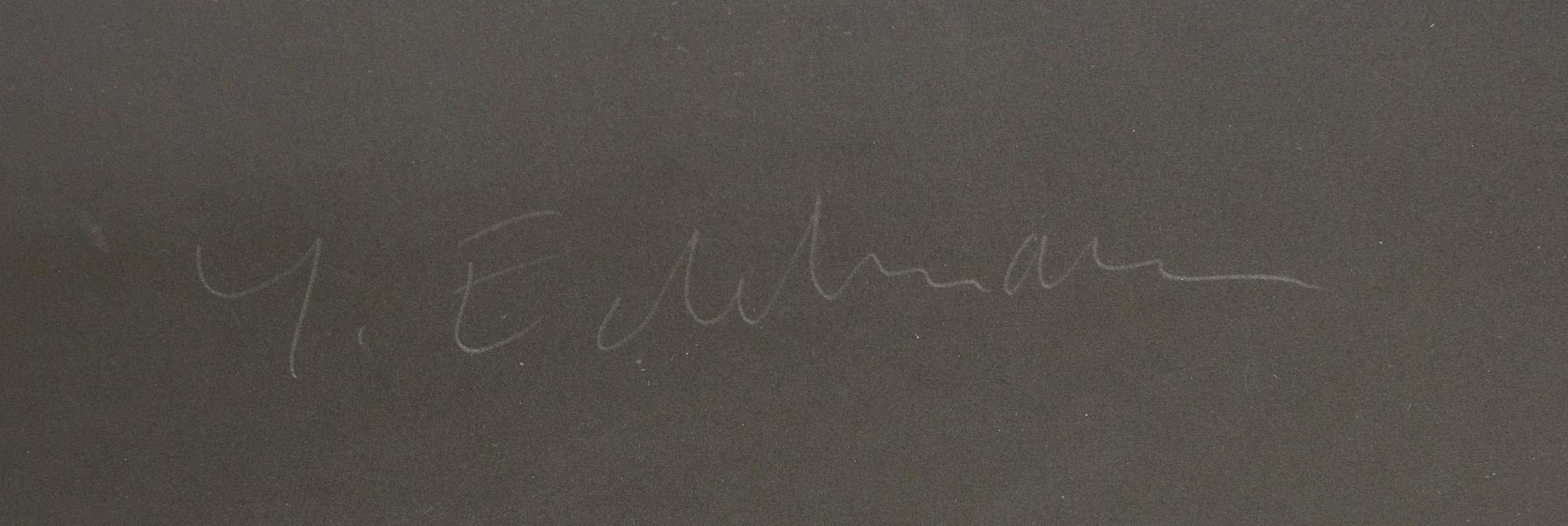 Yrjö Edelmann, untitled.