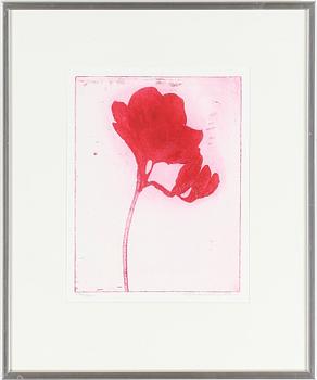Alexandra Kern · ALEXANDRA KERN, etsning, signerad och numrerad 194/200, daterad 2004.