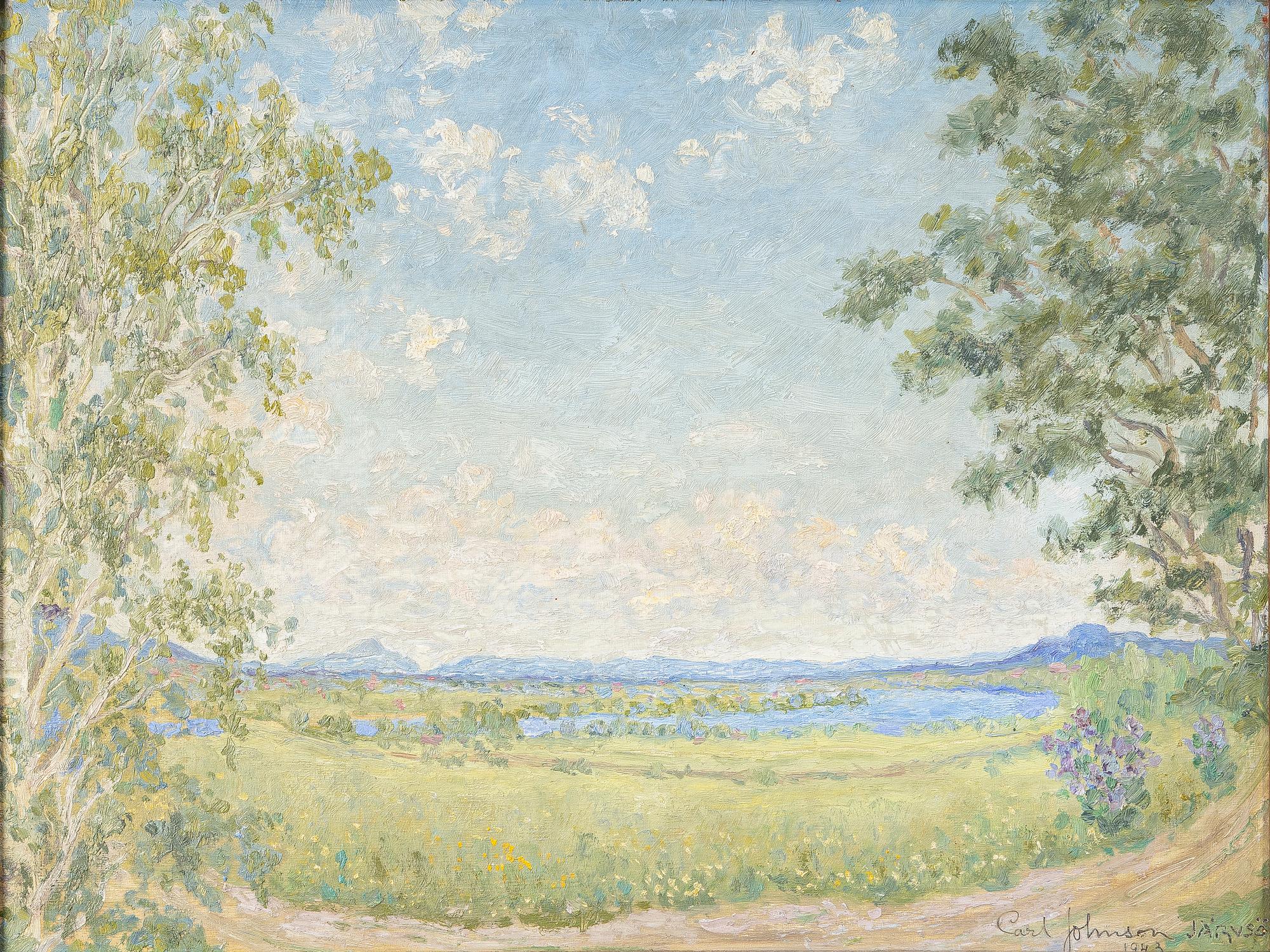 Carl Johansson, Summer in Järvsö.