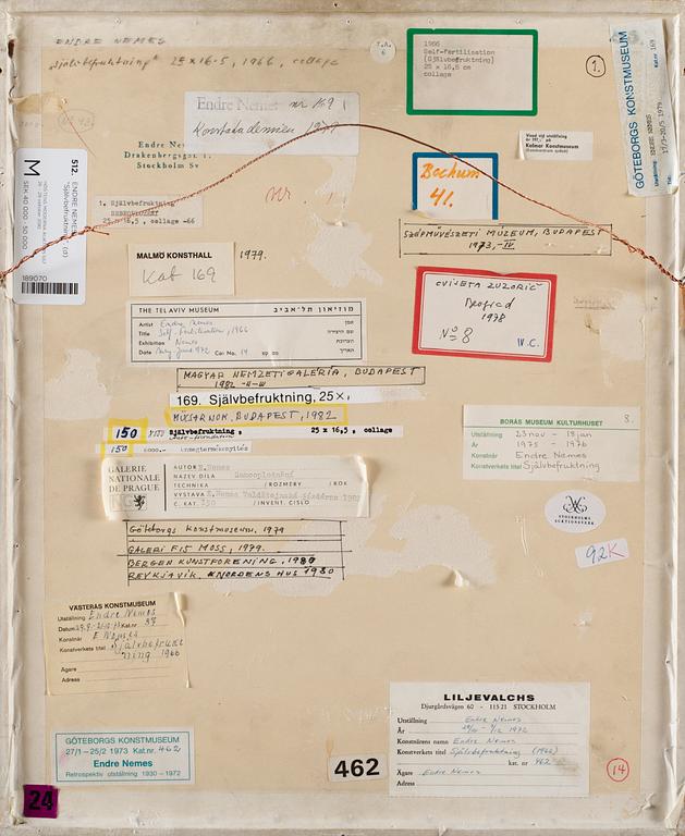 Endre Nemes, "Self-fertilisation (Självbefruktning)".