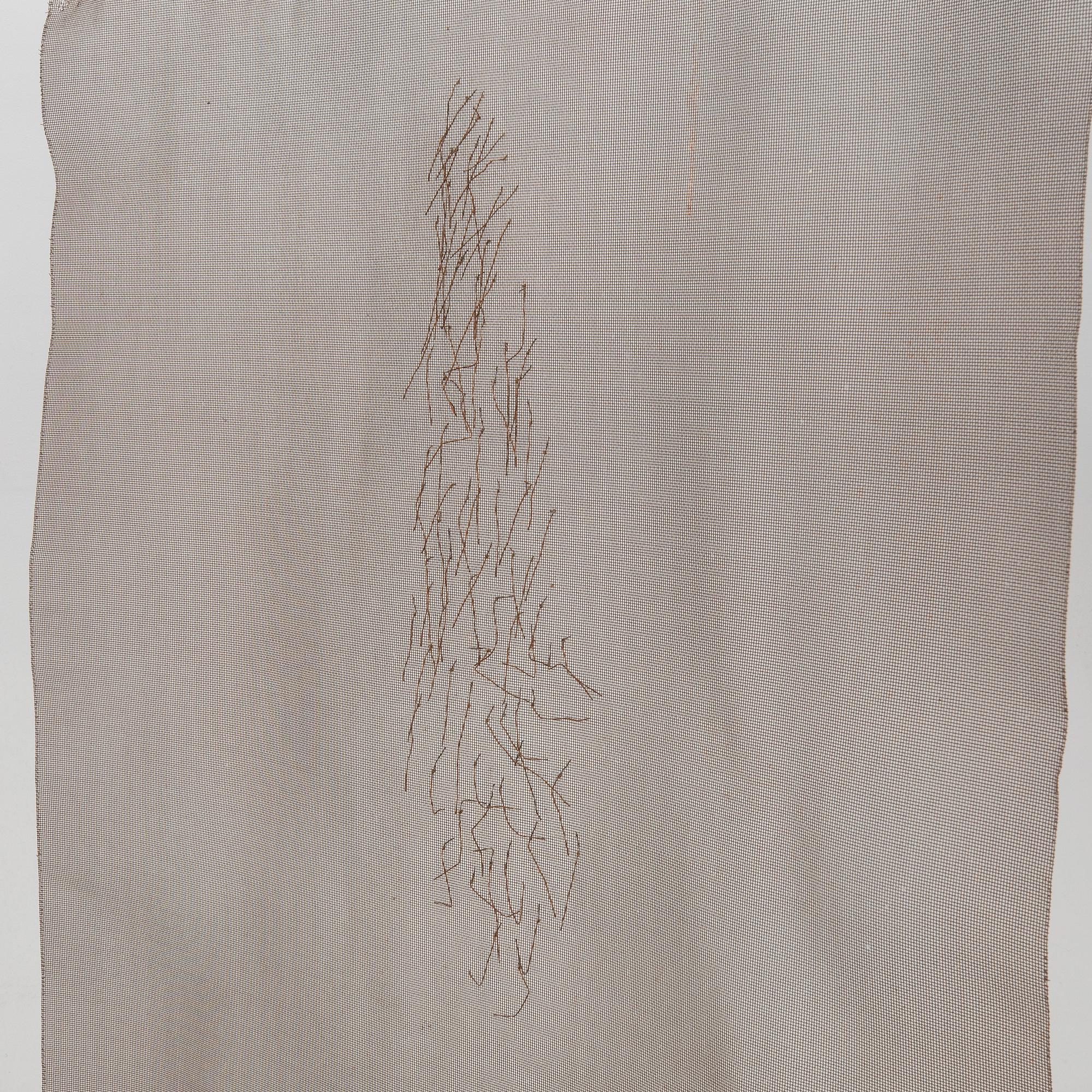 Barbro Bäckström, Untitled.