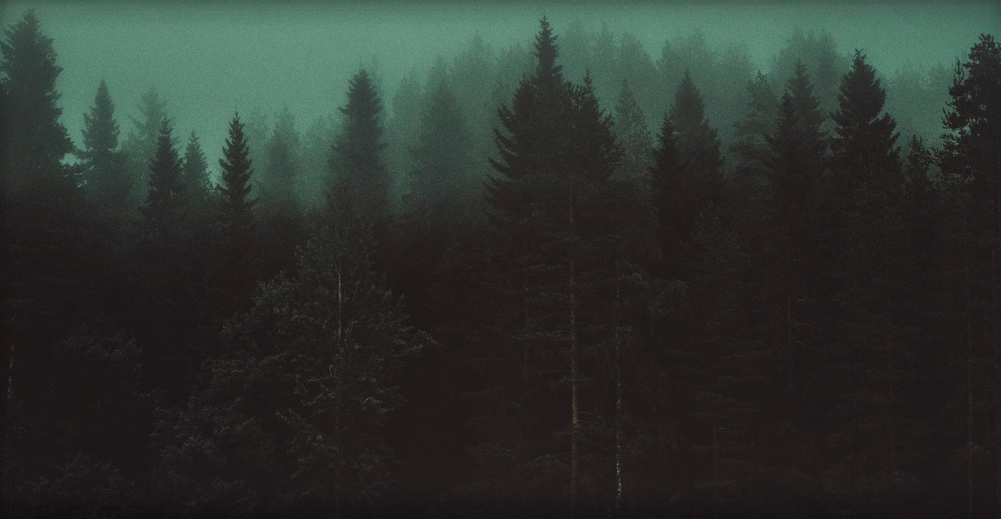 Ewa-Marie Rundquist, "Skogen", 2020.
