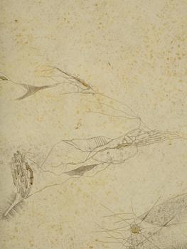 Thea Ekström, Untitled.