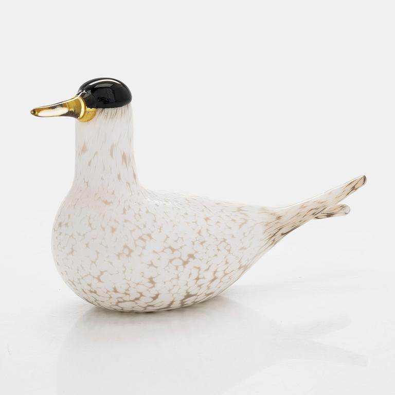 Oiva Toikka, an annual glass bird, 'Arctic tern', signed O. Toikka Nuutajärvi 2000 Sonera GSM A-sarja.
