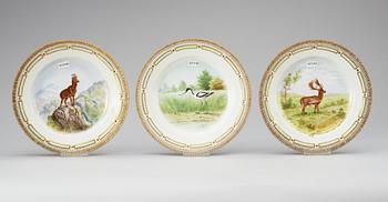 A set of 10 Royal Copenhagen 'Fauna Danica' plates, 20th Century.