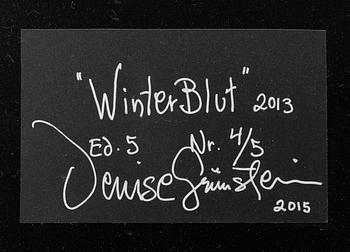 Denise Grünstein, "Winter Blut", 2013.