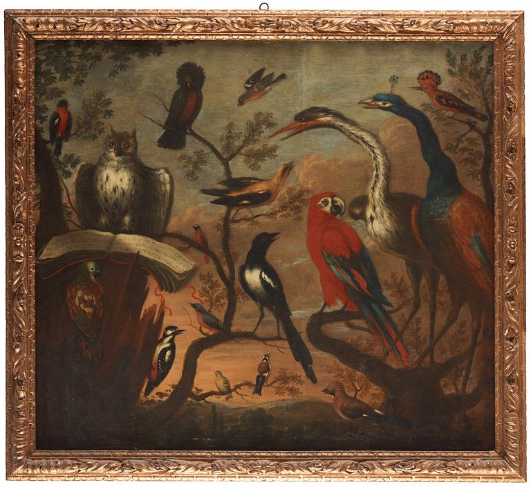 Melchior de Hondecoeter Follower of, Bird concert.