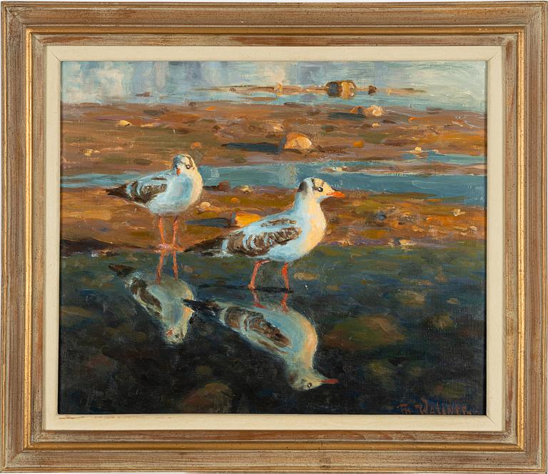 Thure Wallner, Unga Skrattmåsar.