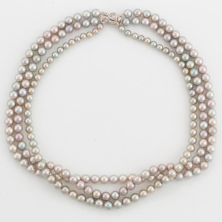 A three strand cultured pearl necklace.
