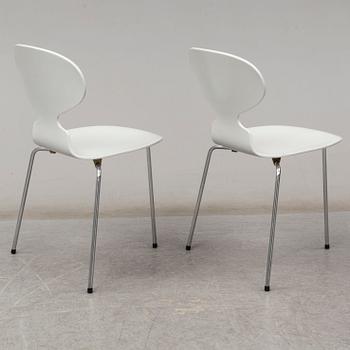 ARNE JACOBSEN, stolar, 6 st, "Myran". Fritz Hansen Danmark.