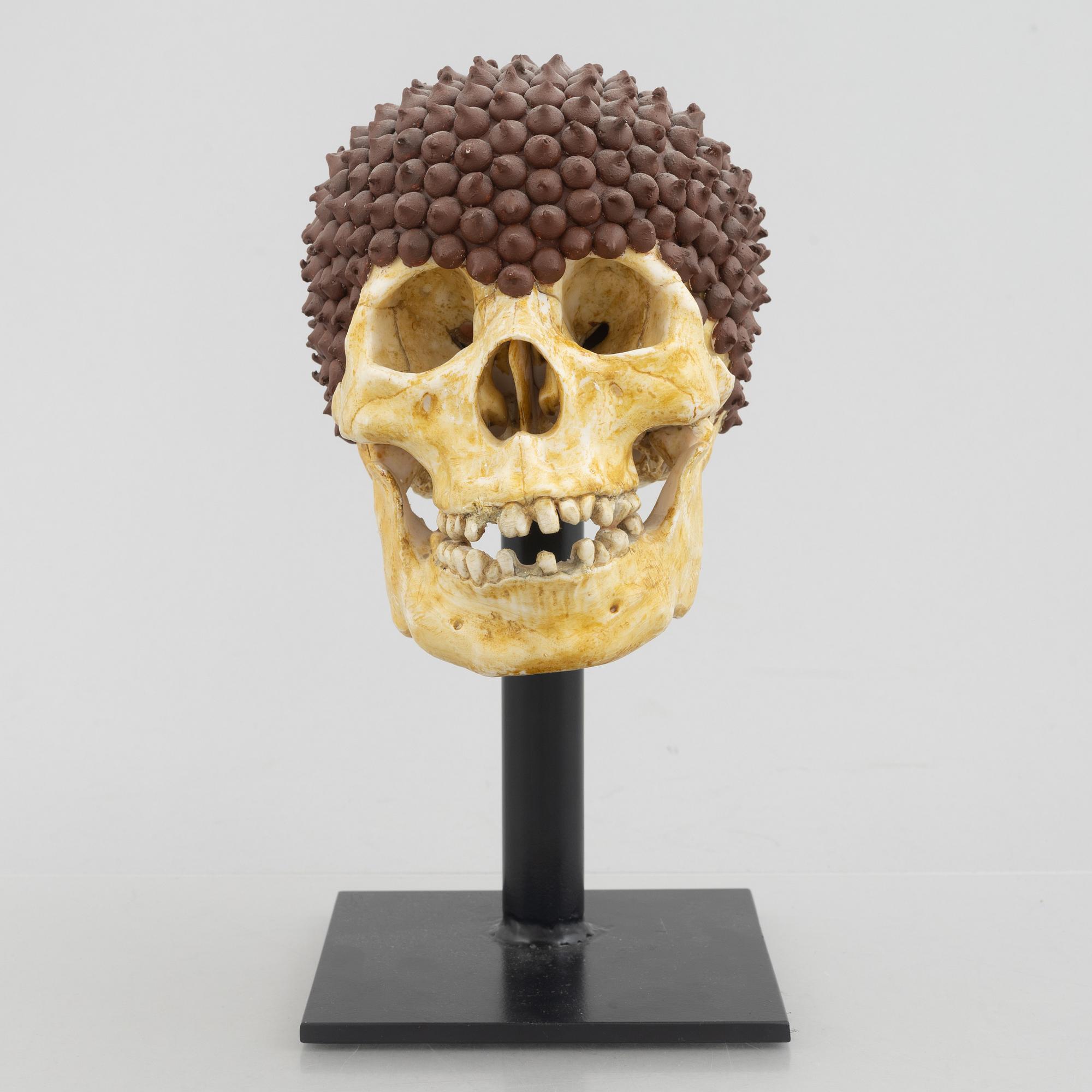 Rinaldo Frattolillo, "Damius Chocolatchipus".