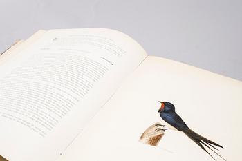 M, W & F VON WRIGHT, books, three volumes, 'Svenska fåglar', A. Börtzells tryckeri AB Stockholm, 1924-1929.