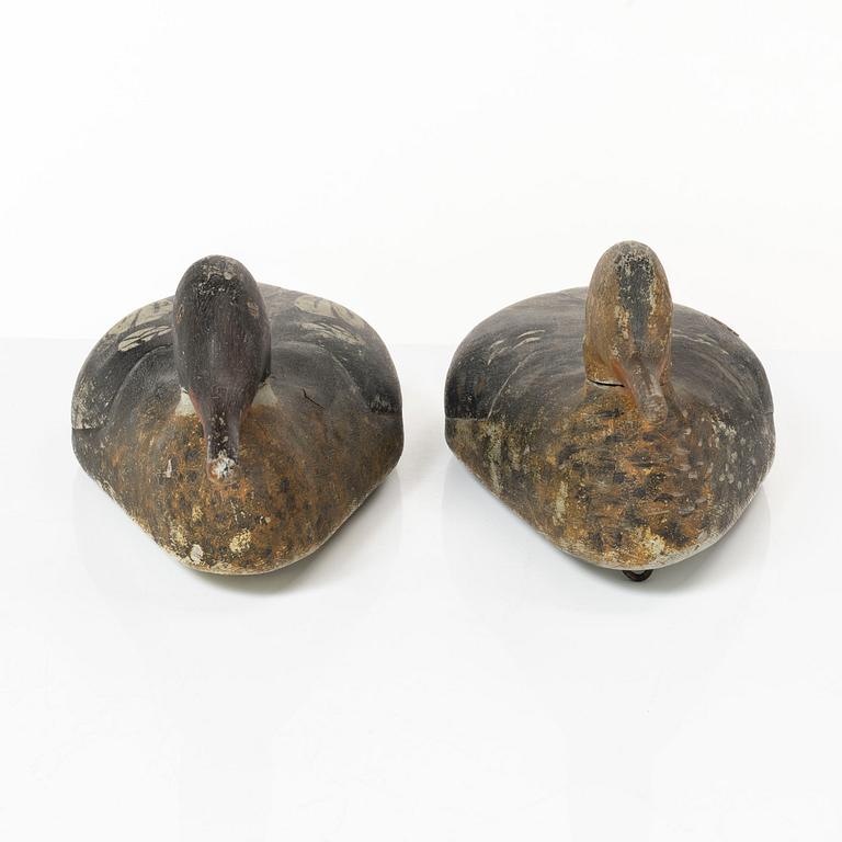 A pair of wood duck decoys, 20th century.