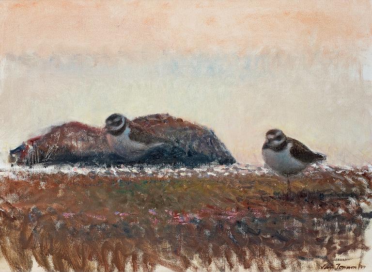 "Skymningsformer" (Plovers).