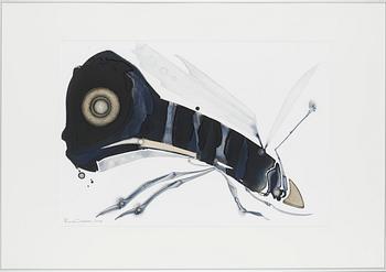 Ron Nordström, Untitled.