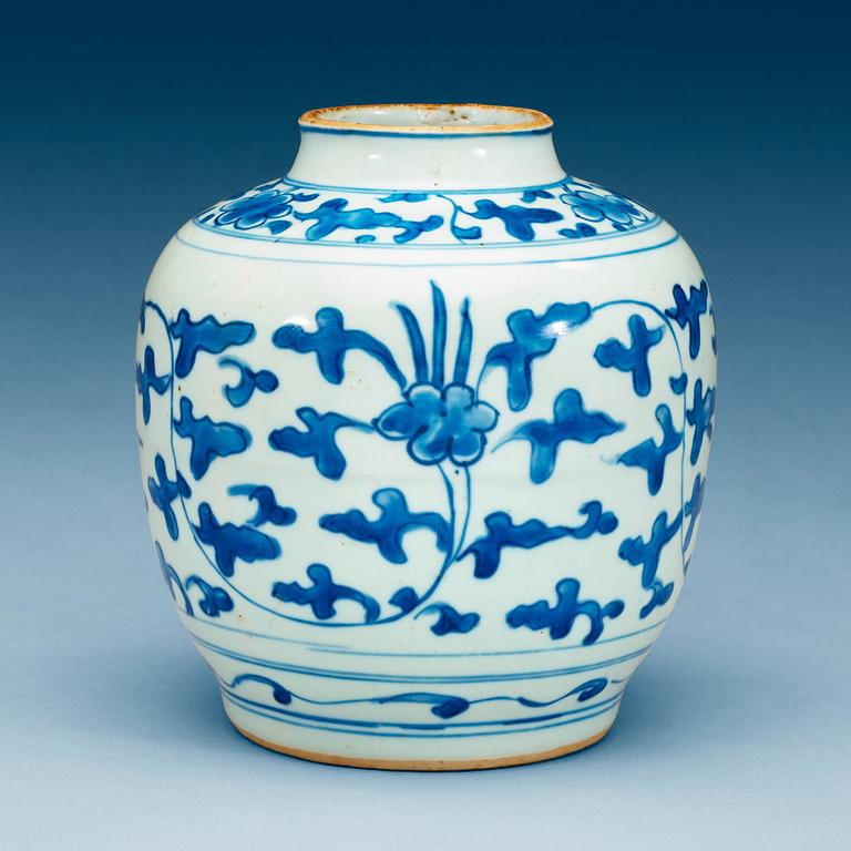 A blue and white jar, Ming dynasty, 17th Century.
