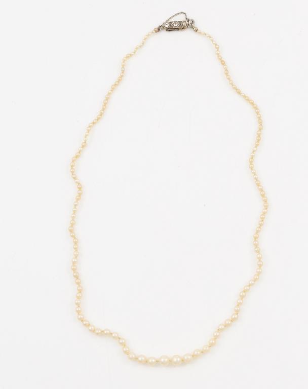 Pearl necklace, graduated pearls, clasp in 18K gold set with old-cut diamonds.