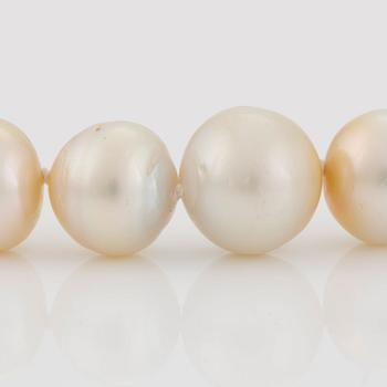 A NECKLACE of cultured South Sea pearls.