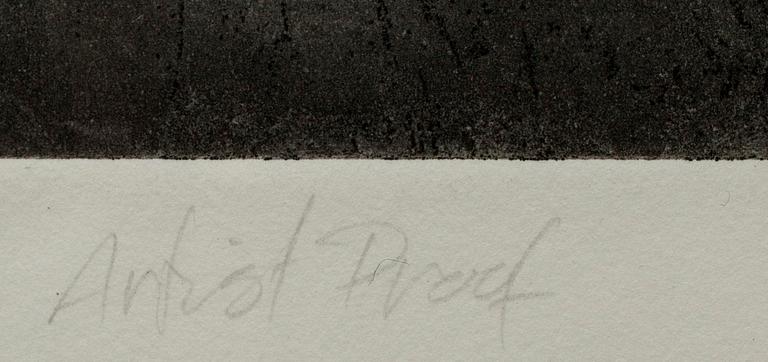 PHIL SIMS (USA), etsning, artist's proof, 35 x 40.