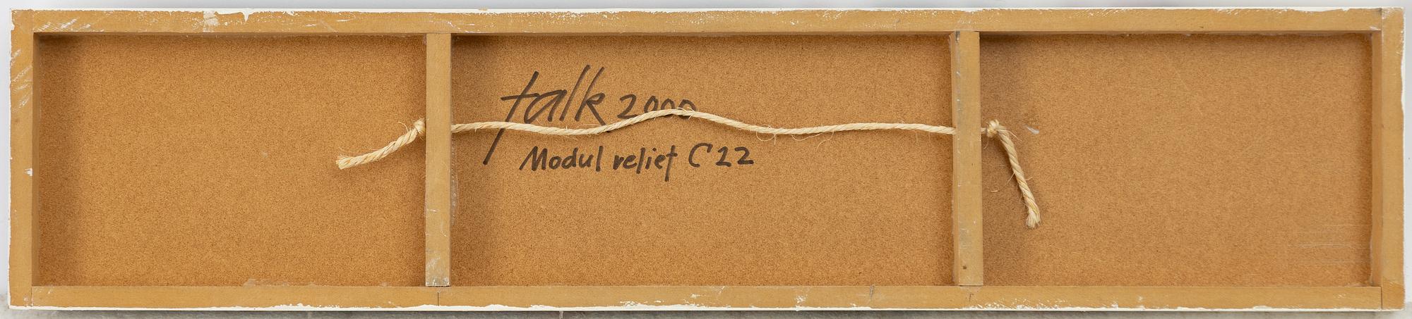 Lars Erik Falk, "Modul relief C22".