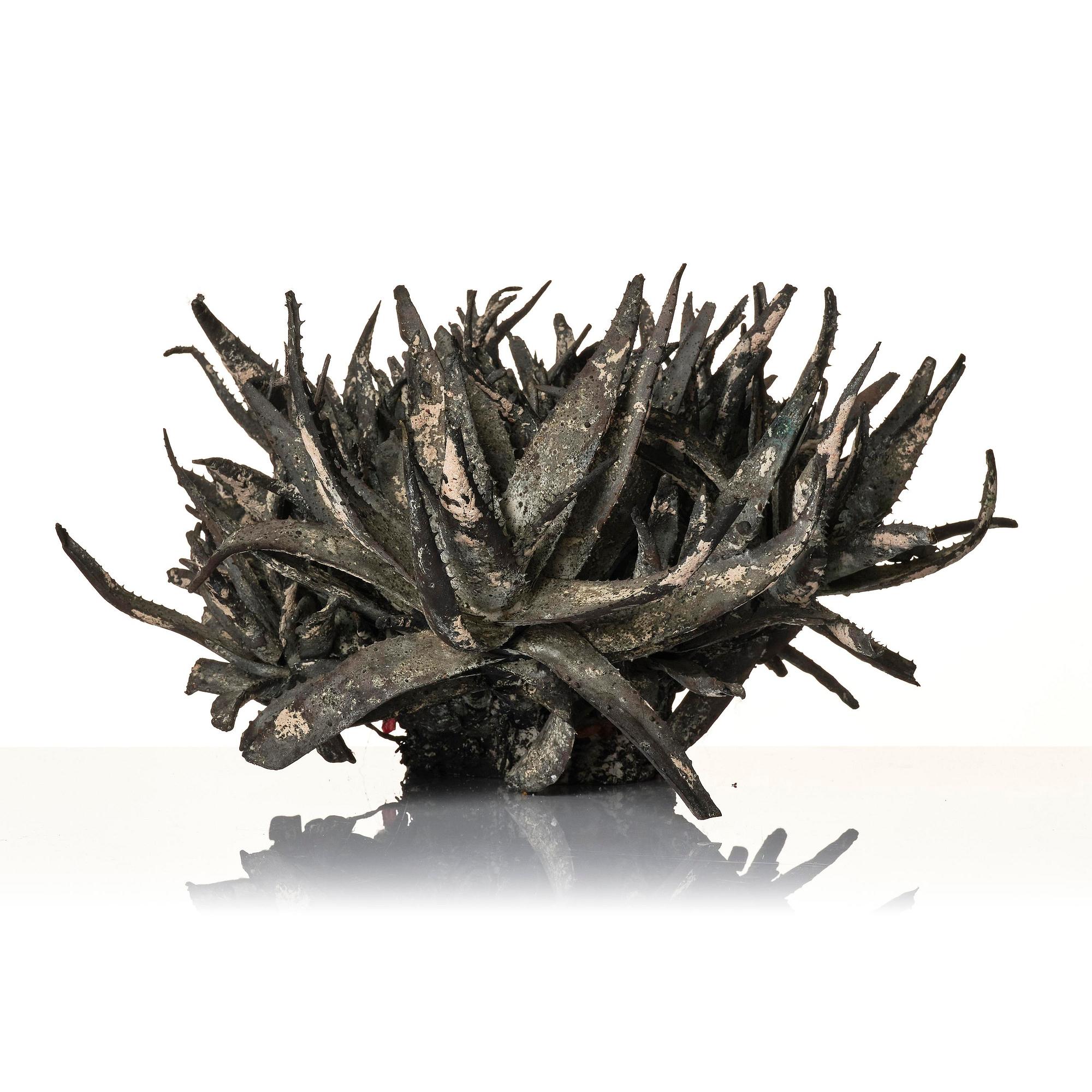 Roland Persson, "Aloe Vera".