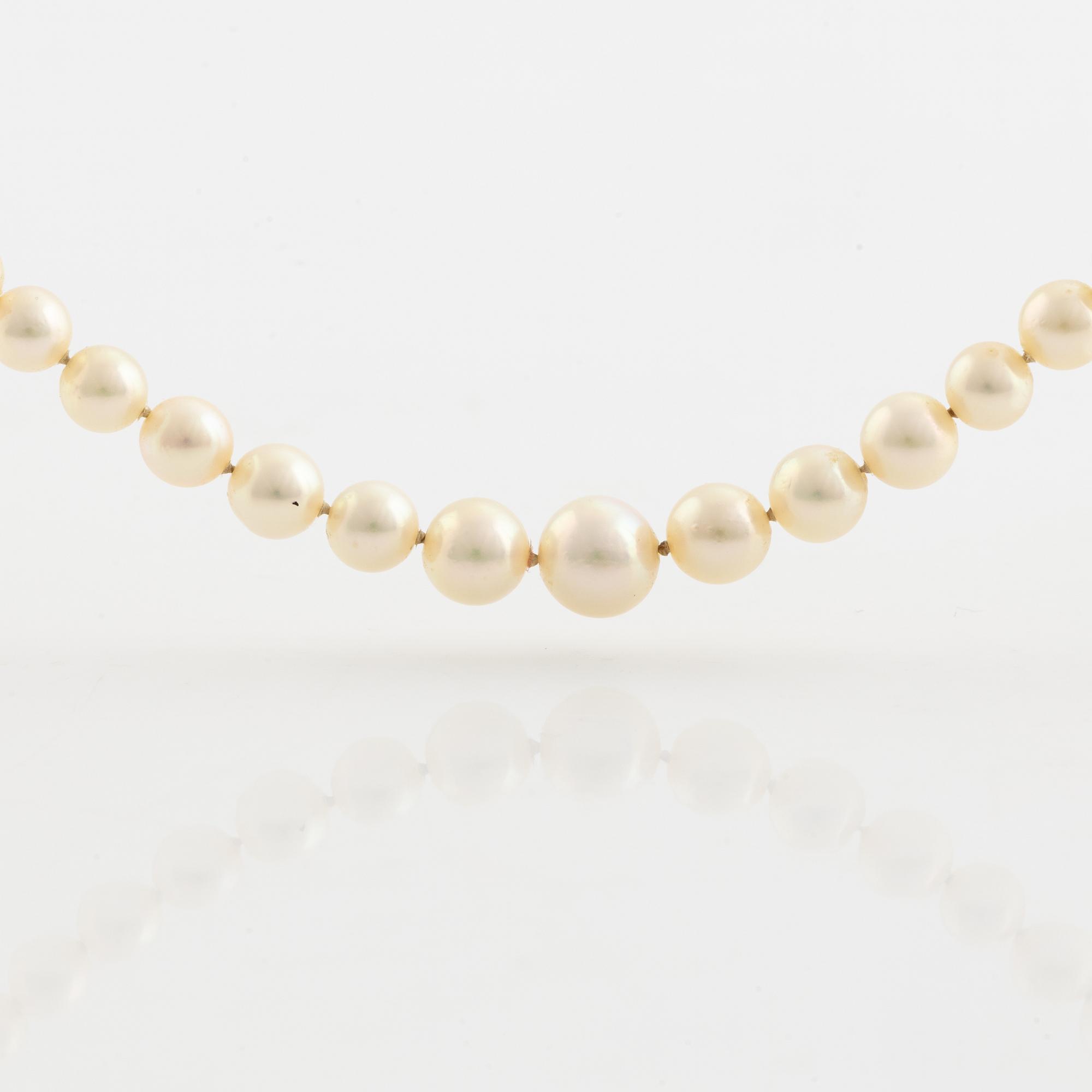 Calibrated cultured pearl necklace.