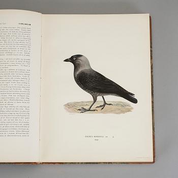 BÖCKER, "Svenska fåglar", 2 band, M W och F von Wright, Förlaget Svenska Fåglar Stockholm 1924.