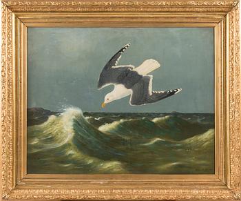 Ferdinand von Wright, Diving Seagull.