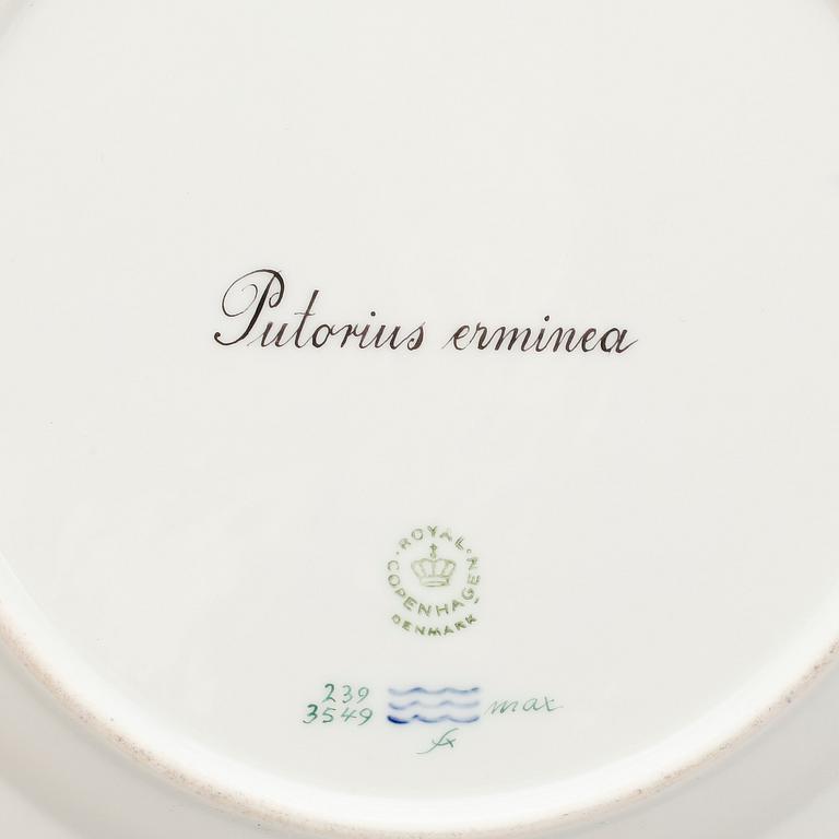 TALLRIKAR, tre stycken, porslin. "Fauna Danica", Kunglig Dansk.