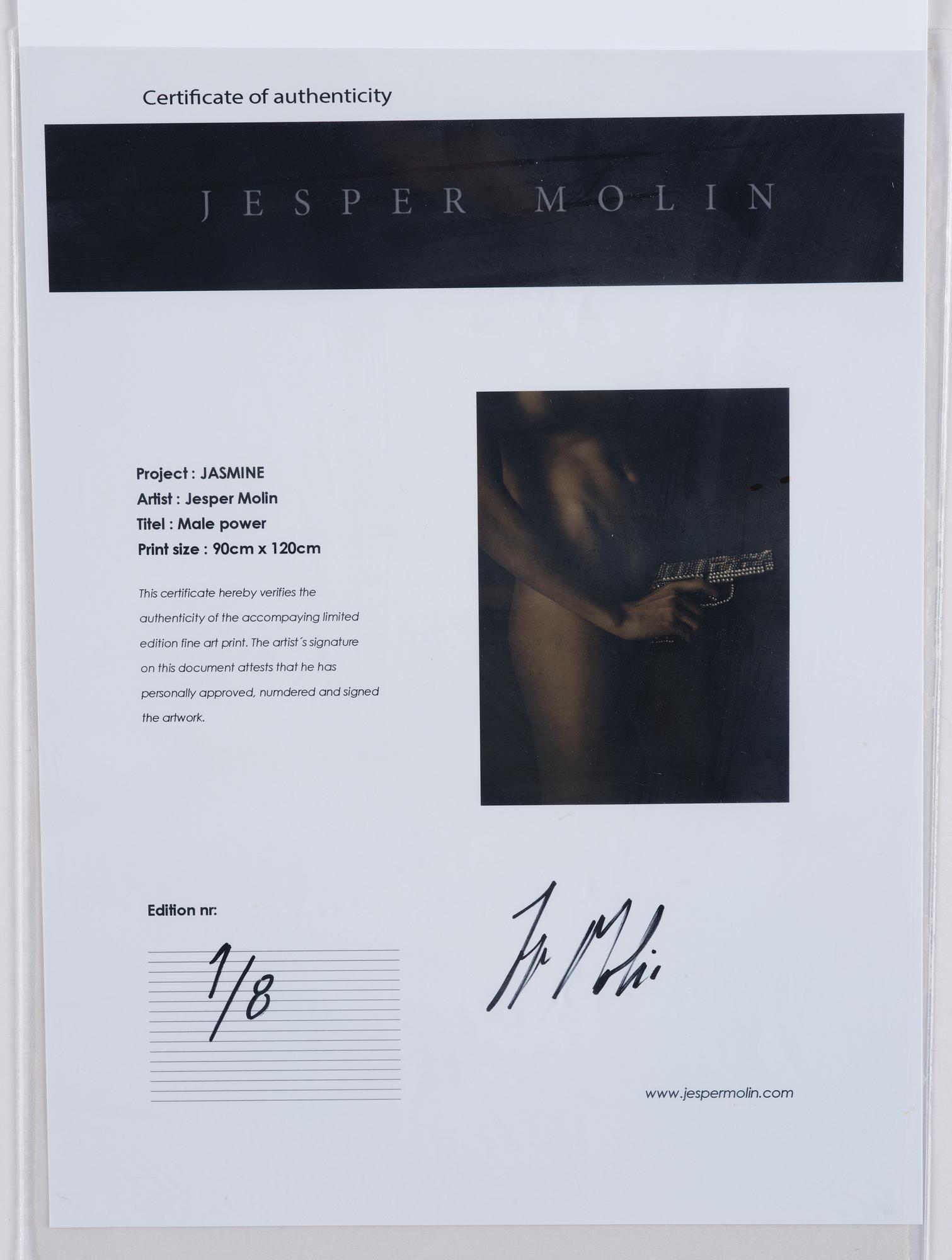 Jesper Molin, "Male Power", 2016.