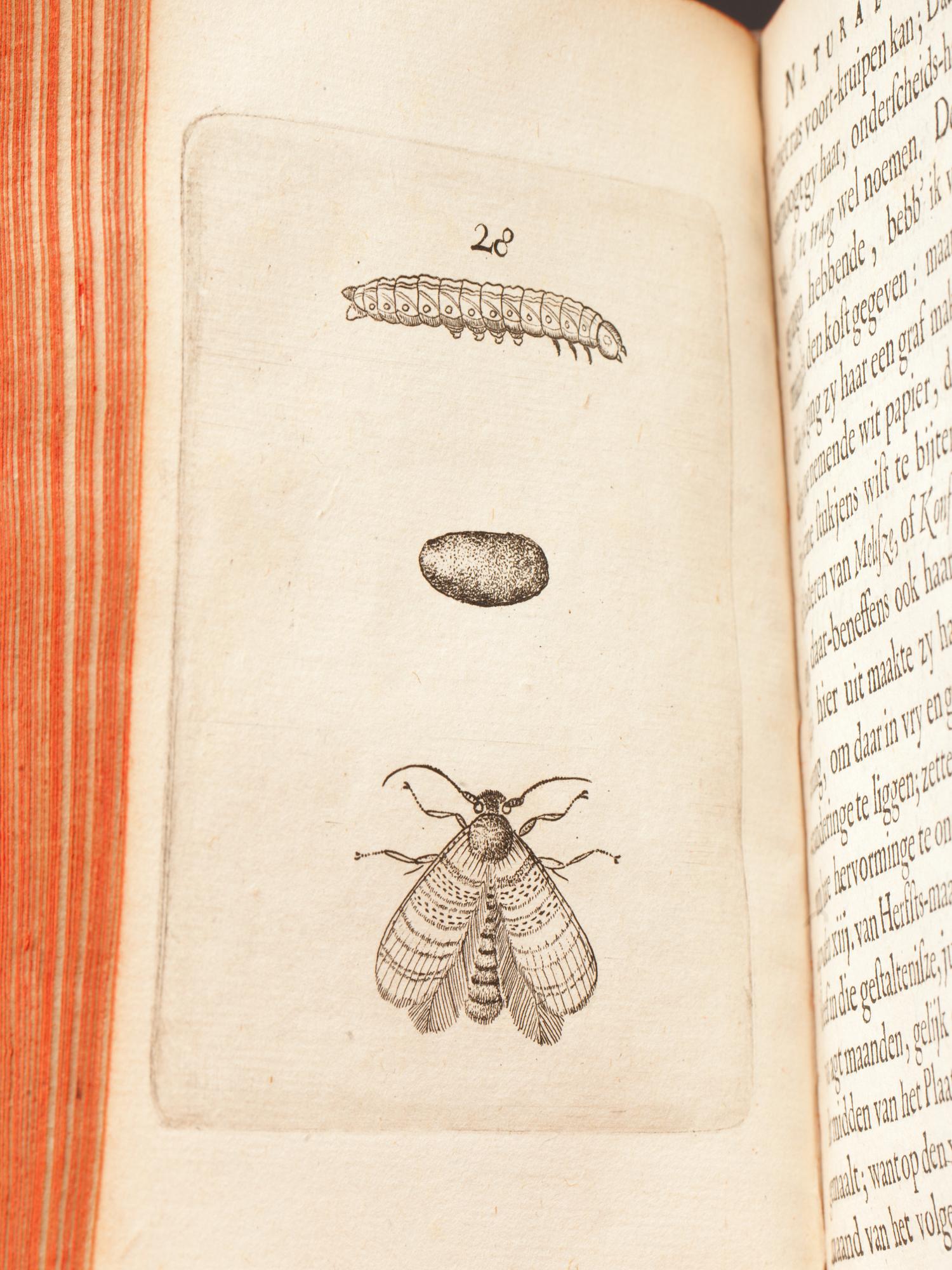 BOK, 3 vol, "Metamorphosis Naturalis... " av Johannes Goedart, Middelburg 1662.