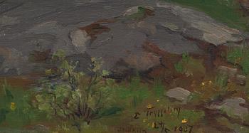 ERIK TRYGGELIN, olja på pannå, signerad och daterad, 1907.