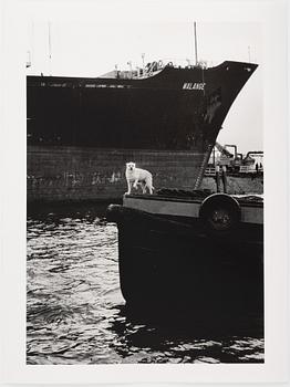 Peter de Ru, "Skeppshund Rotterdam 1979".