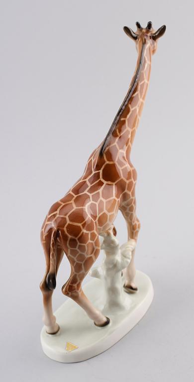 FIGURIN, porslin, Royal Dux.