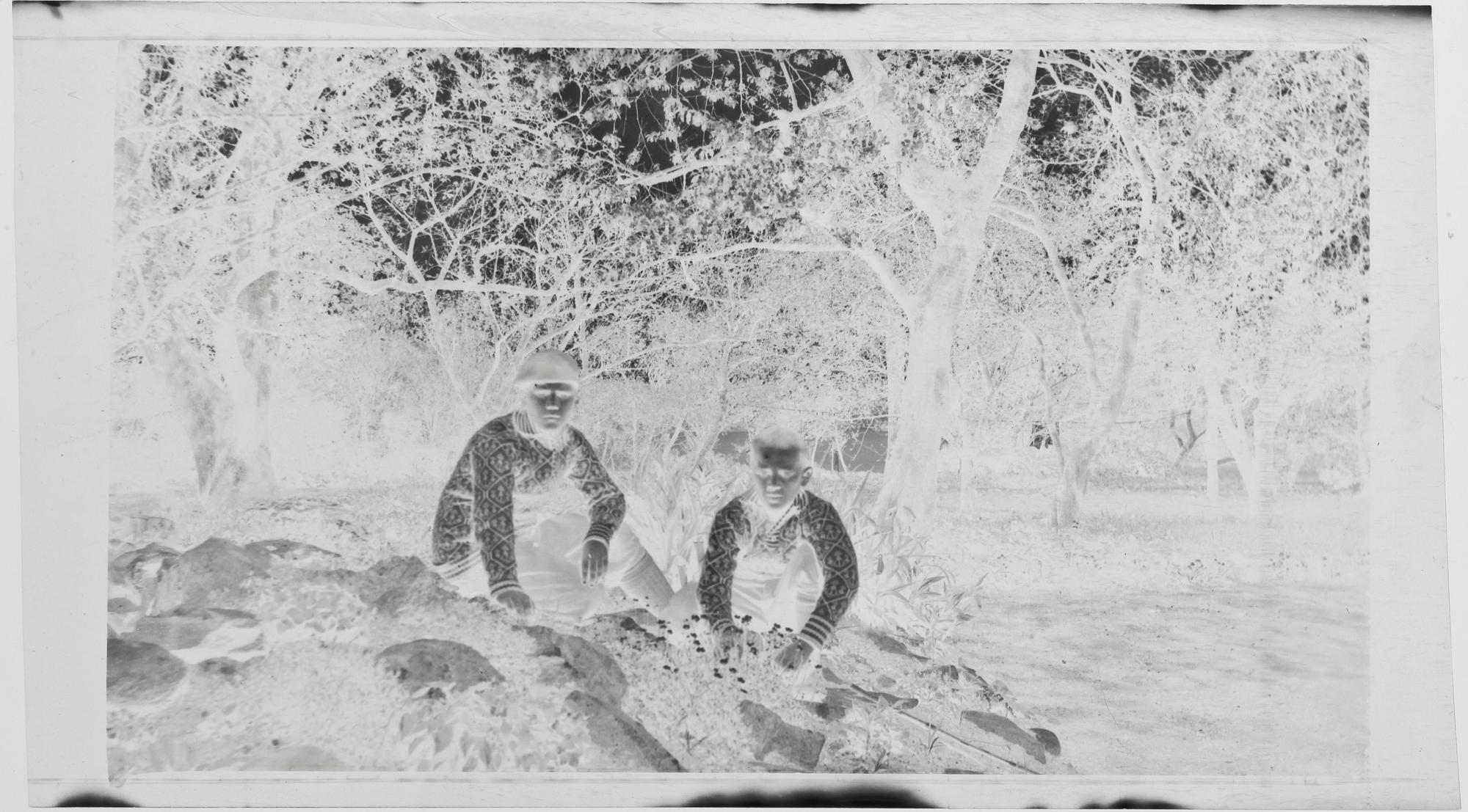 FOTONEGATIV, 8 st, Danmark, troligen 1920-30-tal.