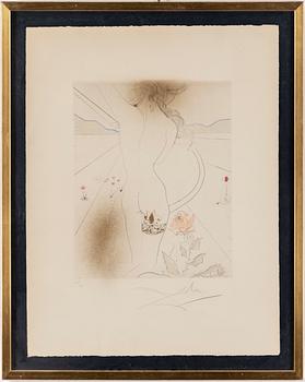 SALVADOR DALI, drypoint etching with colouring, signed and numbered 120/145.