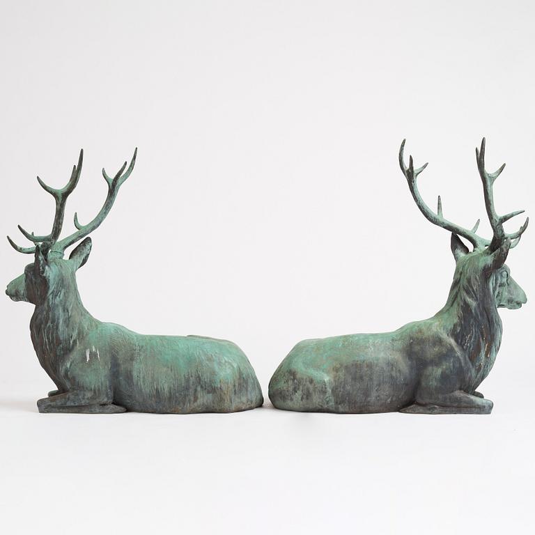 A pair of red deer.