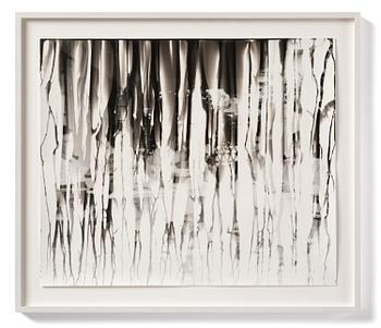 Iñaki Bonillas, "The Rain Came Last", 2013.