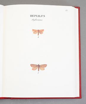 BOKBAND, Wilhelm von Wright, Swenska fjärilar 1-3. Rene Coeckelberghs Editioner, 1989.