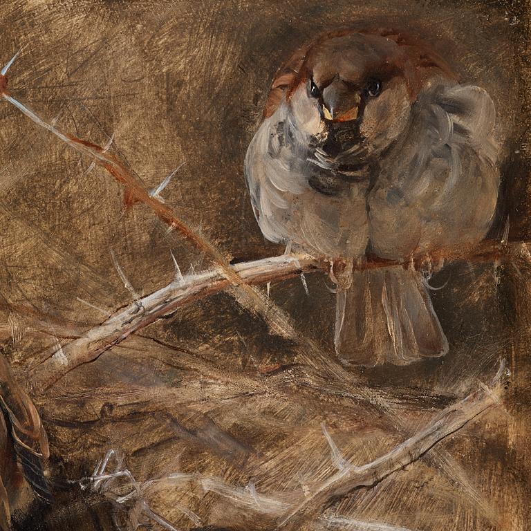 Bruno Liljefors, "Gråsparvar bland törnen".