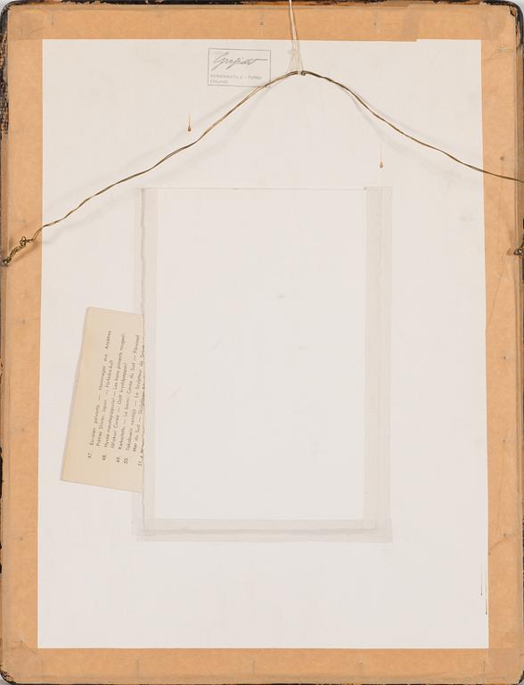 Paul Jacoulet, träsnitt, signerad.