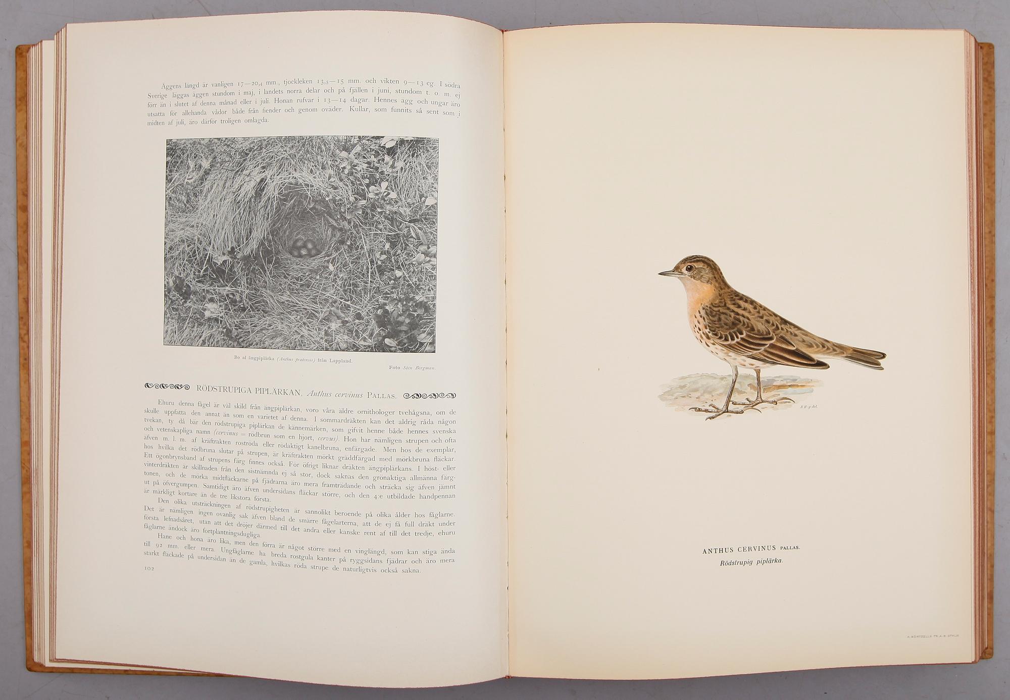 BÖCKER, 3 vol, "Svenska Fåglar", M,W & F von Wright, Stockholm 1927 och 1929.