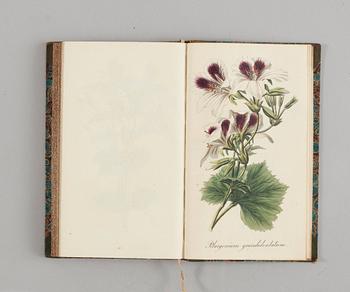 J. E. VON REIDER, Annalen Der Blumisterei für gartenbesitzer, Kunstgärtner, Saamenhändler und Blumenfreunde, 12 vol.