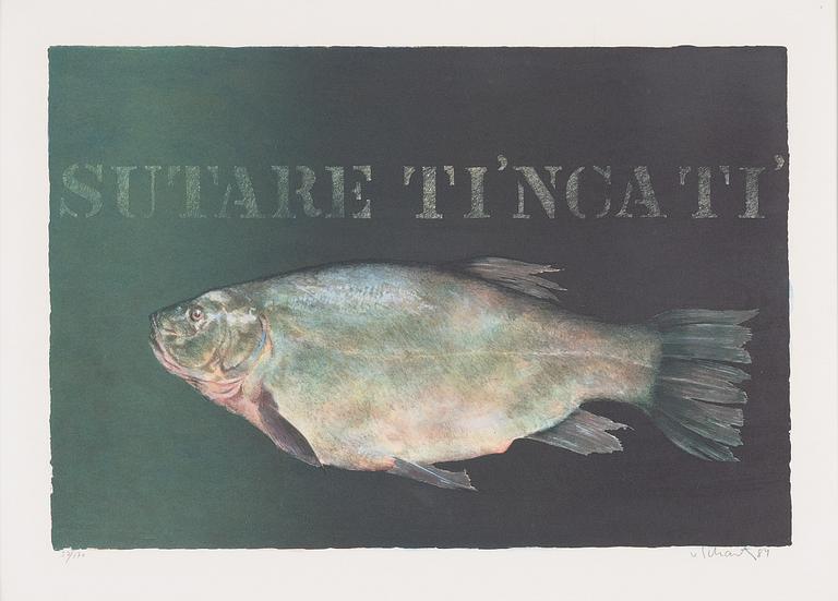 Philip von Schantz, "Sutare Ti'ncati".